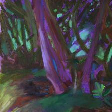 Oil pastel on paper-Rhododendron-Glendurgan Garden National Trust
